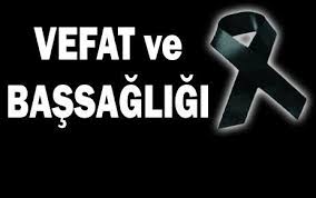  Fotoğraf